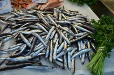 Ricetta - Alici Arraganate